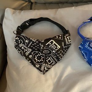 Medium size black and white, on its own collar.